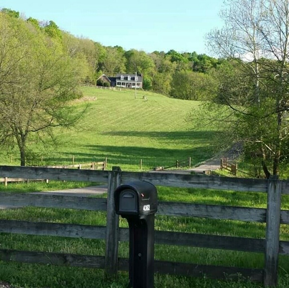 Clothes, Shoes, Jewelry and Handbags - Picture 3 of 5